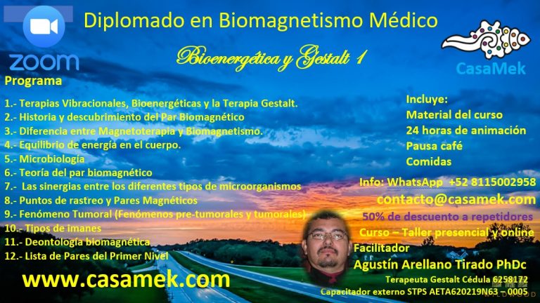 Bioenergética y Gestalt