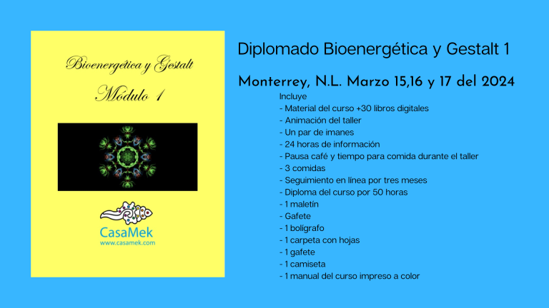 Diplomado Bioenergética y Gestalt 1