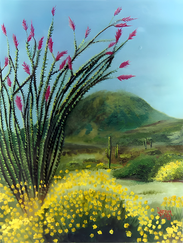 Ocotillo
