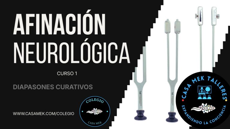 Taller Afinación Neurológica 1a