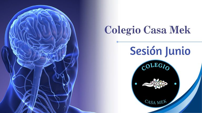 Sesión Junio Colegio Casa Mek