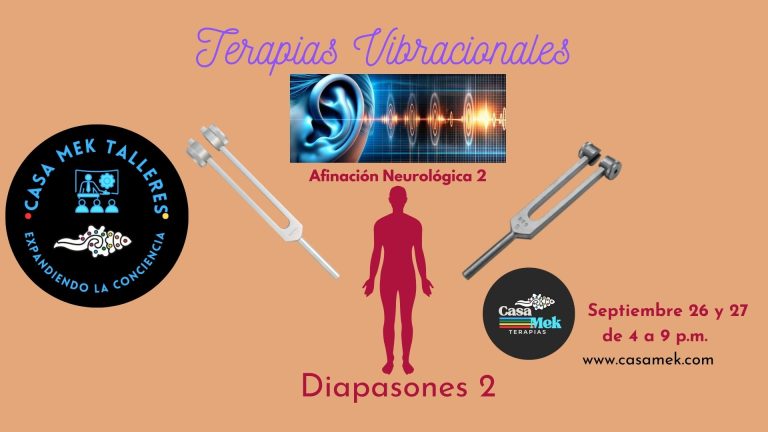Taller de Afinación Neurológica